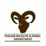 Punjab Wildlife & Parks Department Jobs