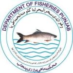 Fisheries Department Punjab Jobs